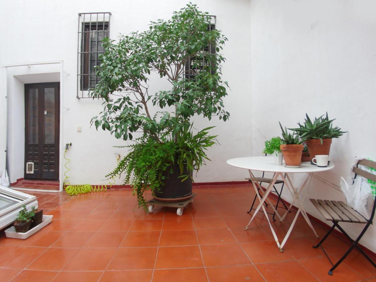 Vip House Rentals, Entire In Old Town Apartamento Málaga